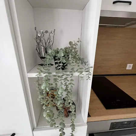 Harmony Apartment- 4 People- New Modern Flat-by The Sea * Warna