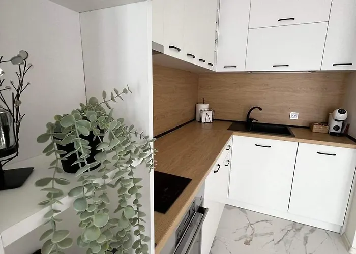 Apartment Harmony Apartment- 4 People- New Modern Flat-by The Sea *